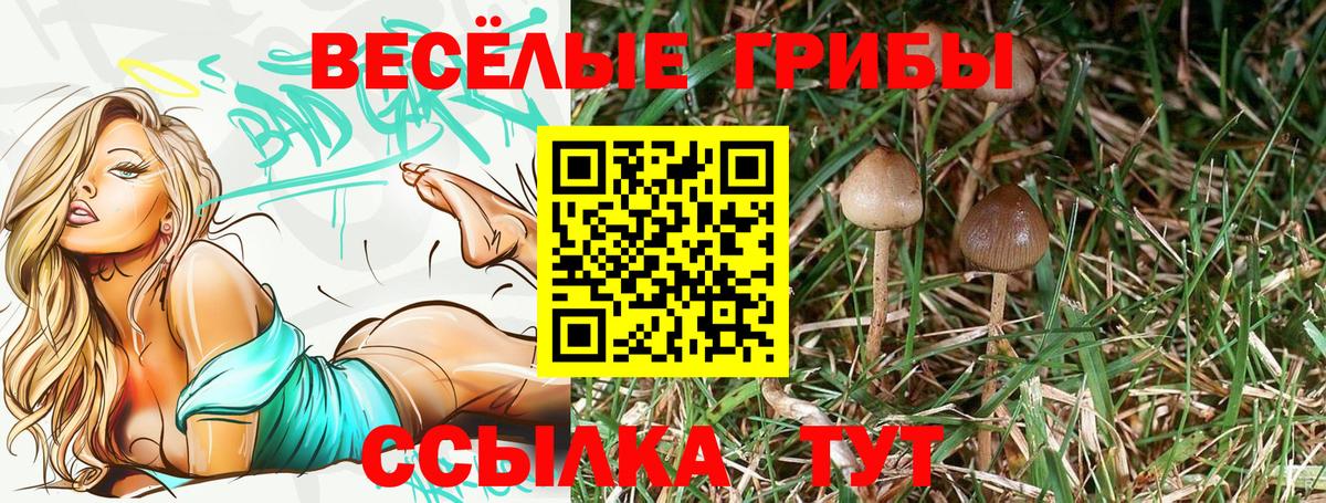 Ростов-на-Дону  Галлюциногенные грибы MAGIC MUSHROOMS  Вход с VPN 