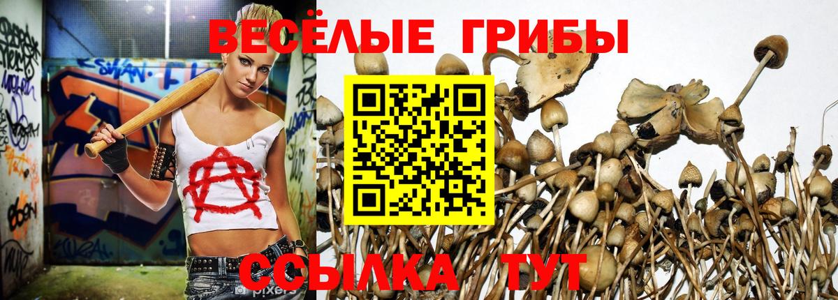 Псилоцибиновые грибы Magic Shrooms Ростов-на-Дону